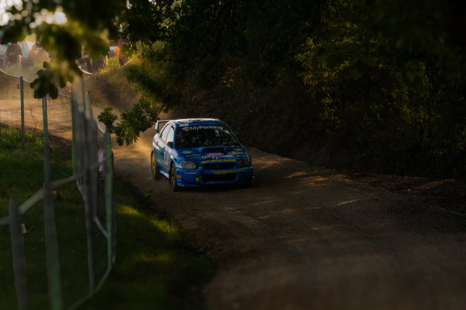 Auto da rally blu in controluce su una strada nel bosco