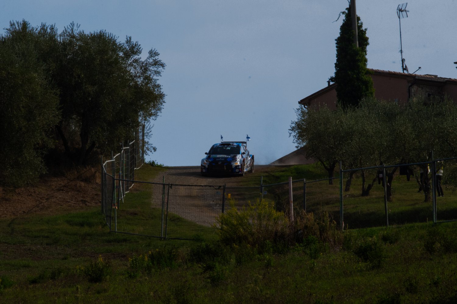 Auto da rally tra gli ulivi delle colline toscane